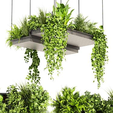 Pothos Ampelous Hanging Plant Collection 3D model image 1 