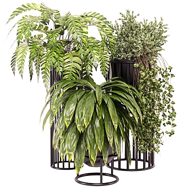  Indoor Plants Collection Set 614 3D model image 1 