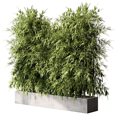 Bamboo Outdoor Plants 468 3D model image 1 