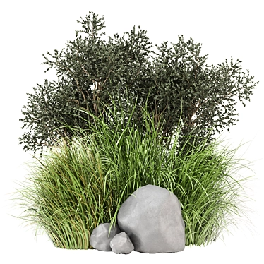 Outdoor Bush Plants Set 618 3D model image 1 