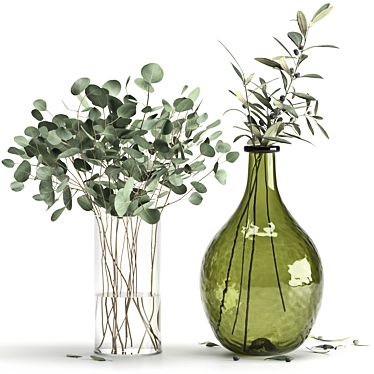 Eucalyptus and Olive Branches Set 3D model image 1 