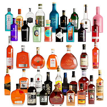 Variety Alcoholic Bottles 40: Gin, Rum, Cognac 3D model image 1 