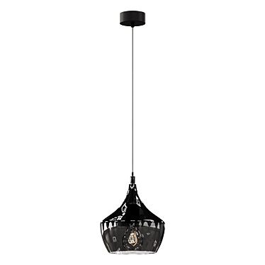 Gnome Pendant Lamp Black Glass 3D model image 1 