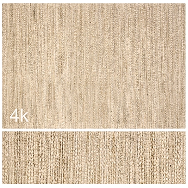 Braided Jute Rug Set 3D model image 1 