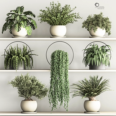 Versatile Hanging Indoor Plant Set 3D model image 1 