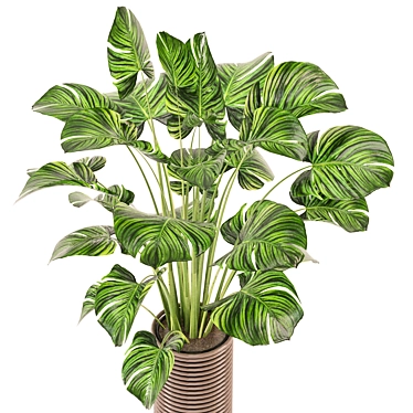 Modern Indoor Plants Collection Set 3D model image 1 