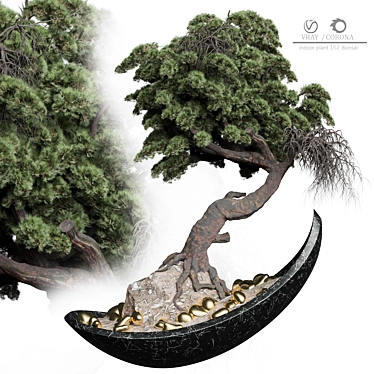 162 Bonsai Indoor Plant	Model 3D model image 1 