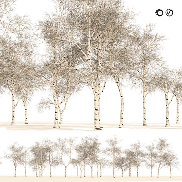 Winter Birch Tree Forest Model 3D model image 1 