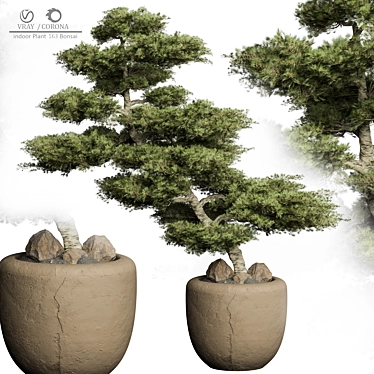 2015 Version Bonsai Plant 163 3D model image 1 