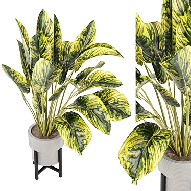 Modern Indoor Plants Collection Set 3D model image 1 