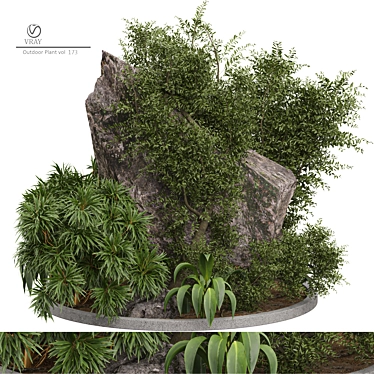 Vintage Vray Outdoor Plant Model 3D model image 1 