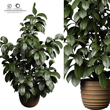 Modern Indoor Plant Decor 167 3D model image 1 