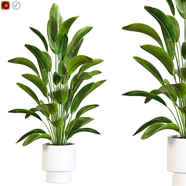 Botanical 3D Plant Collection 3D model image 1 