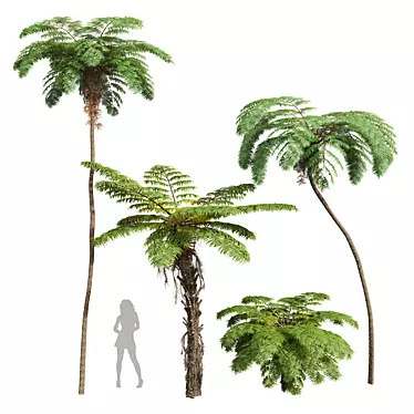 Spinulosa Fern 3D Decor Models 3D model image 1 