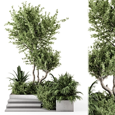 Landscaping Bushes & Trees Set 3D model image 1 