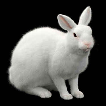 White Rabbit Model Virtual Asset 3D model image 1 