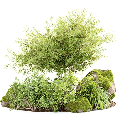 Mossy Garden Plants Bundle Vol.156 3D model image 1 