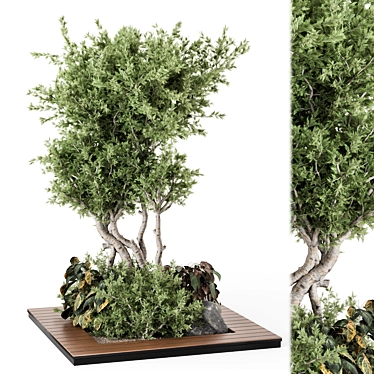 Garden Set Bush Tree Collection 3D model image 1 