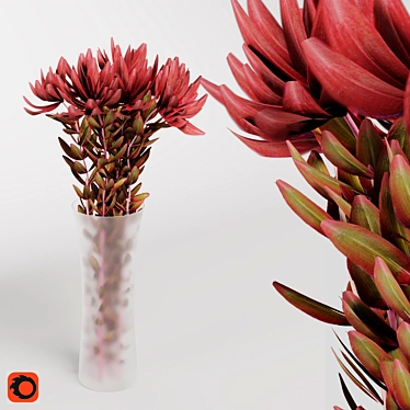 Safari Sunset Leucadendron Bouquet Model 3D model image 1 