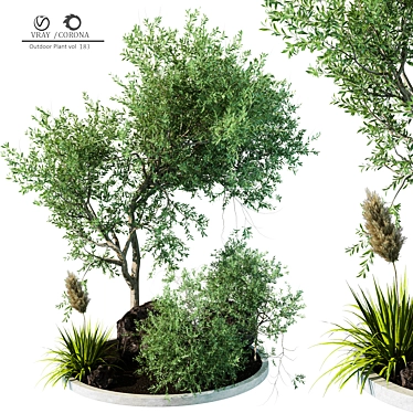 Stylish Outdoor Plant 3D Model 3D model image 1 