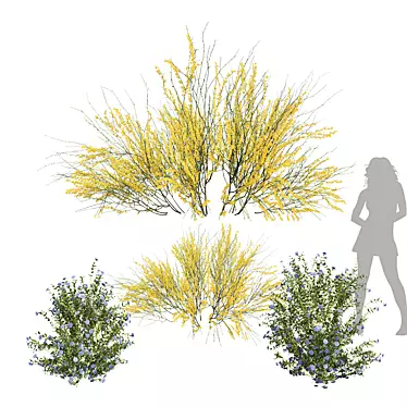 Botanical 3D Plant Collection Offer 3D model image 1 