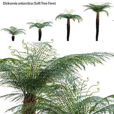 Versatile 3D Plant Models Pack 3D model image 1 