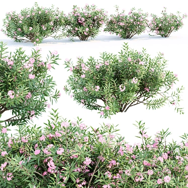  3D Model Oleander Collection Vol. 166 3D model image 1 