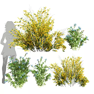 Lush 3D Plant Collection Variety 3D model image 1 