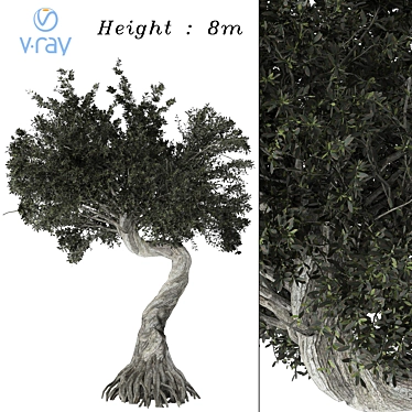 Gnarled Tree Sculpture 3D Model 3D model image 1 