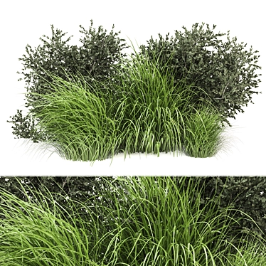 Outdoor Bush Plants Set 675 3D model image 1 