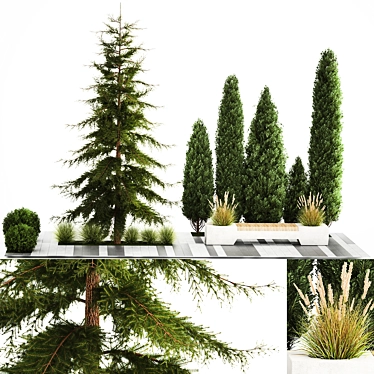 Urban Greenery Collection: Bench and Evergreens 3D model image 1 