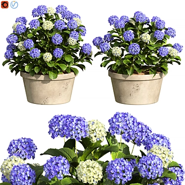 Hydrangea Design Flowers Bouquet 3D model image 1 