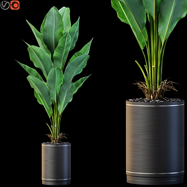 Green Oasis Plant Collection 3D model image 1 