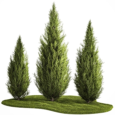 Cypress and Thuja Garden Set 3D model image 1 