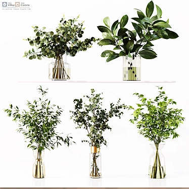 Premium Indoor Plant Collection Model 3D model image 1 