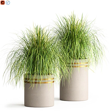 Customize Your Space With This Outdoor Plant 3D model image 1 