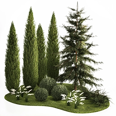 Coniferous Greenery Collection 3D model image 1 