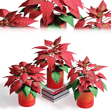 Festive Poinsettia Plant Set 3D model image 1 