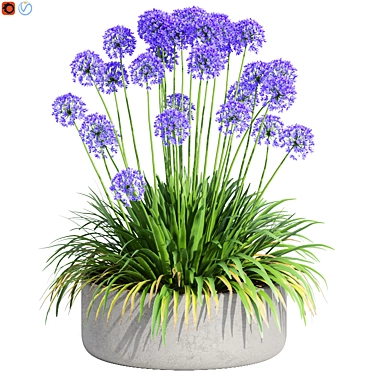 Agapanthus Design-Populating Plants 3D model image 1 