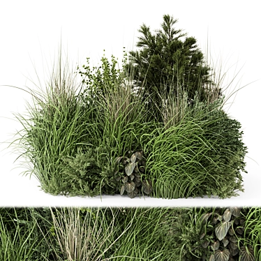 Outdoor Plants Bush Set 1273 3D model image 1 