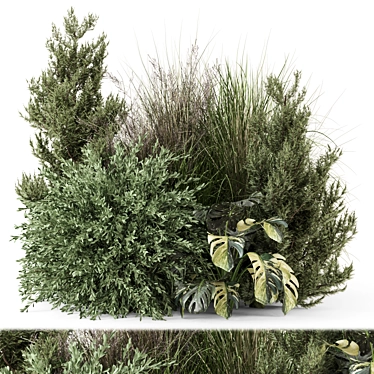 Outdoor Bush Plant Set 1274 3D model image 1 