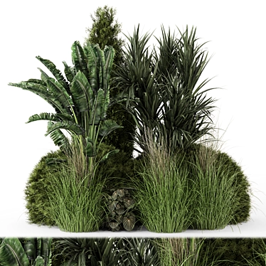 Title: Premium Outdoor Plants Bush Set 3D model image 1 