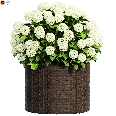 Design 2 Bigleaf Hydrangea Bloom 3D model image 1 