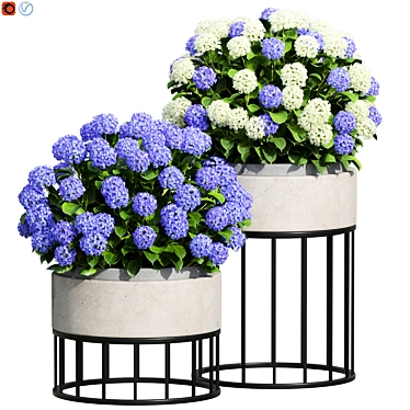 Design 3 Bigleaf Hydrangea Bush 3D model image 1 