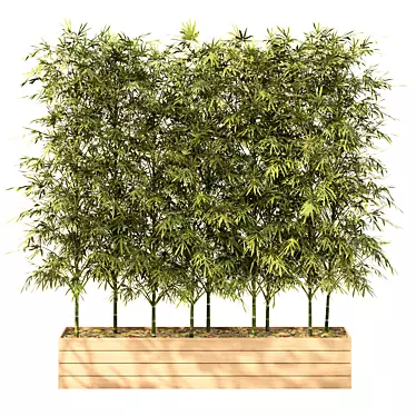 Luxury Bamboo Indoor Plant 3D model image 1 