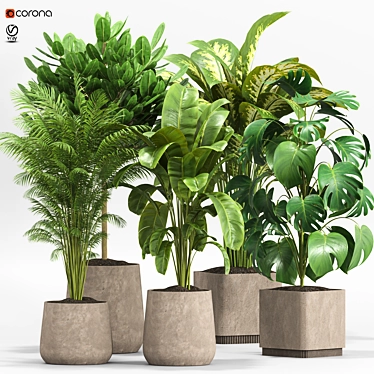 Lush Green Indoor Plants Set 3D model image 1 