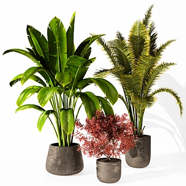 Modern Indoor Plant 3D Model 3D model image 1 