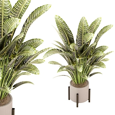 Green Oasis Indoor Plant Collection 3D model image 1 