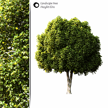 3D model tree for Corona 3D model image 1 