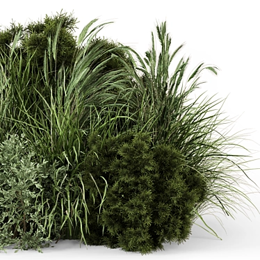 Outdoor Bush Collection - 3D Models 3D model image 1 